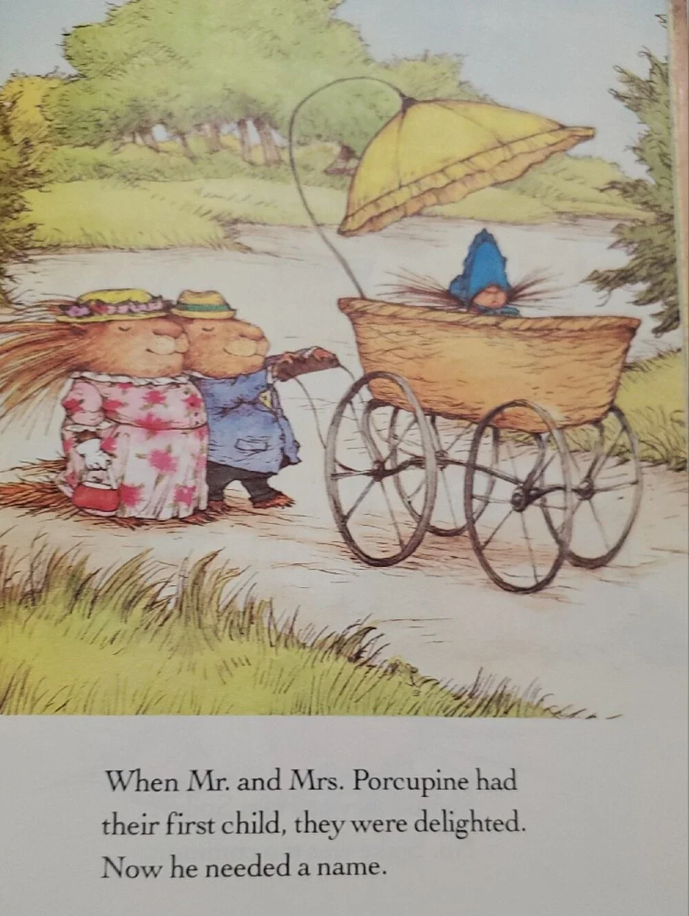 A Porcupine Named Fluffy Vintage 1986 — Illustrated Children’s Book